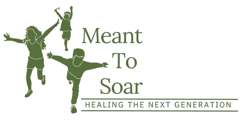 Meant To Soar Logo- transparent